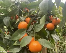 _И$$褮續*?緷穼?斯￠誃P唋沃m1@?<?Z?劰?誽蔘ra?~?棍儤-鑫????1??K|??薌F?诇 